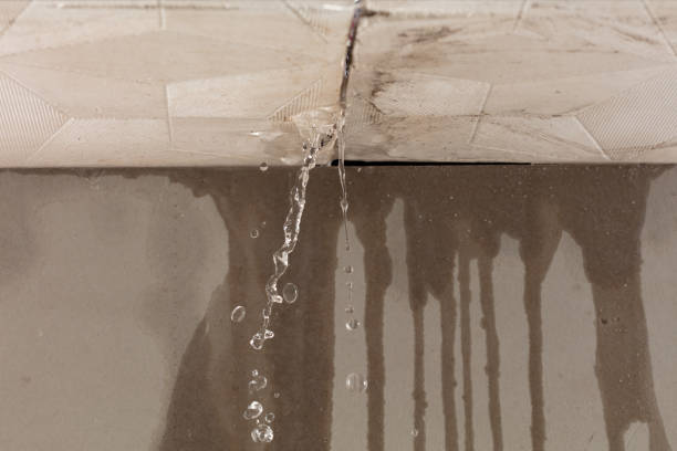 Professional Structural Drying technician working in Russell, MA